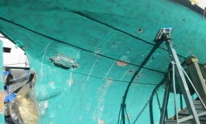 IMG_4837 IMG_4837